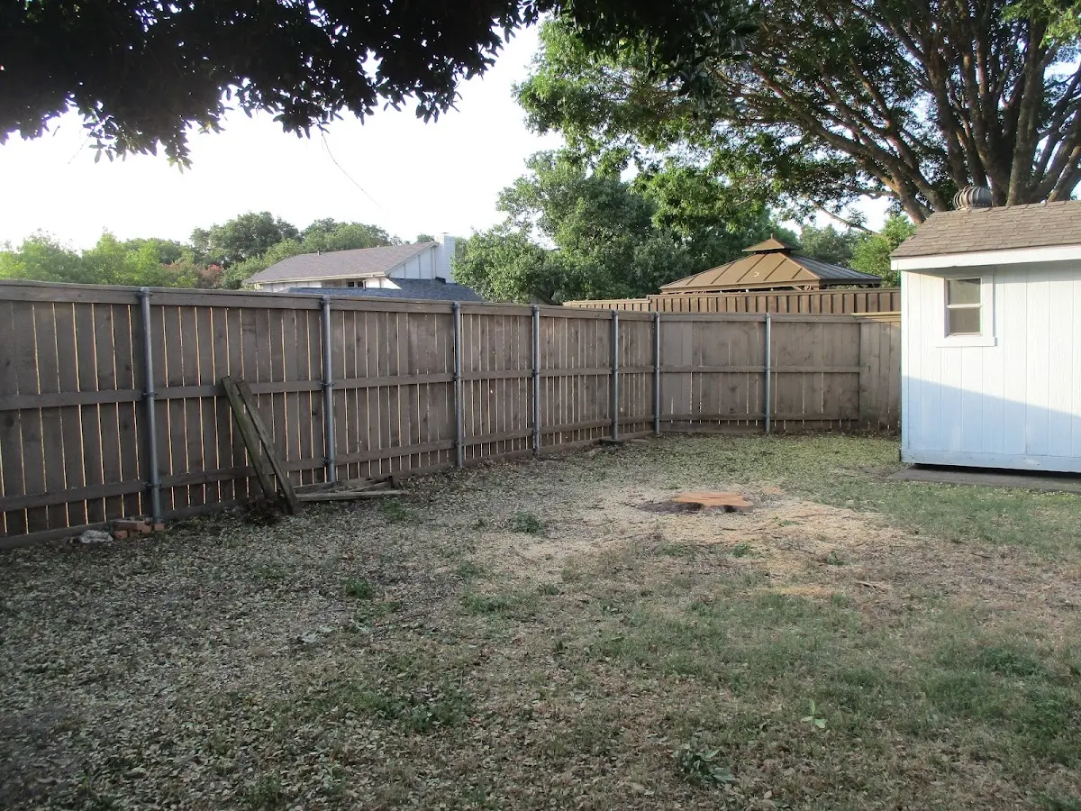 Cleared yard after professional tree removal in La Jara
